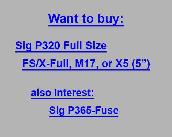 Sig P320- Full Size 4.7”-5” (Bay Cnty)