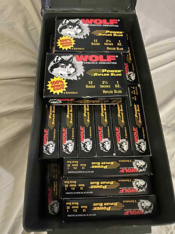 12ga 2 3/4 rifled slugs and buckshot