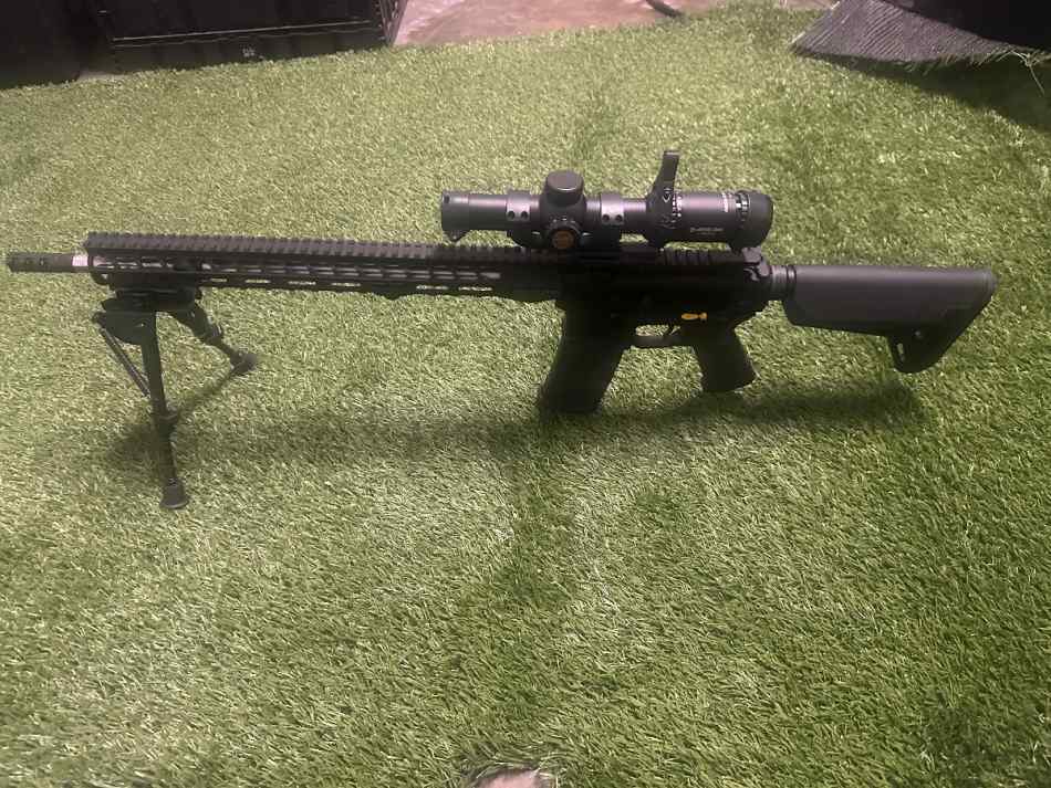 Stag arms Stag15 3-gun setup.223/5.56