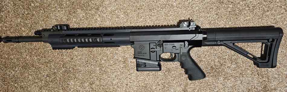 Ruger sr762 308