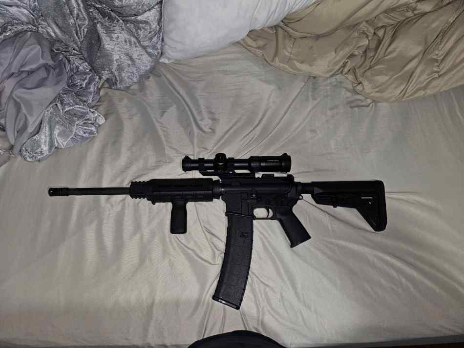 Bushmaster XM-15 w/ Vortex Strike Eagle