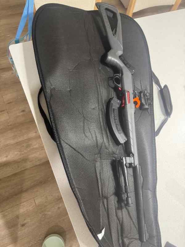 Winchester Wildcard 22LR
