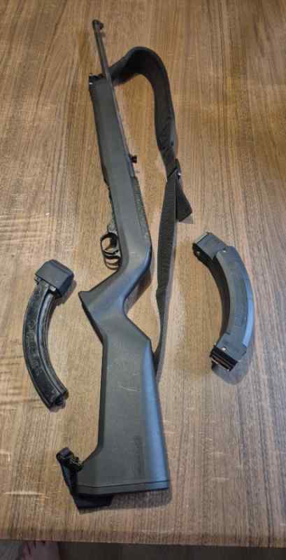 Ruger 10-22 with extras