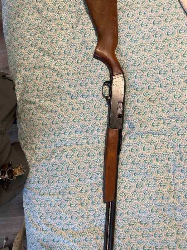 Ted Williams 22-model 37