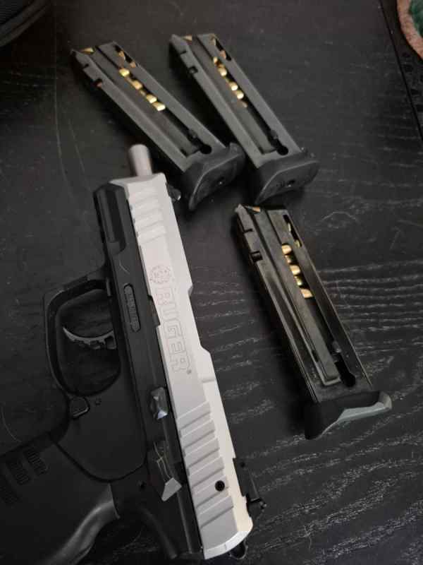 Ruger SR 22