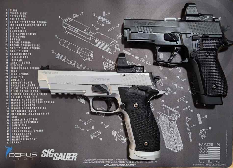 Sig 229 Legion with Delta Point Pro