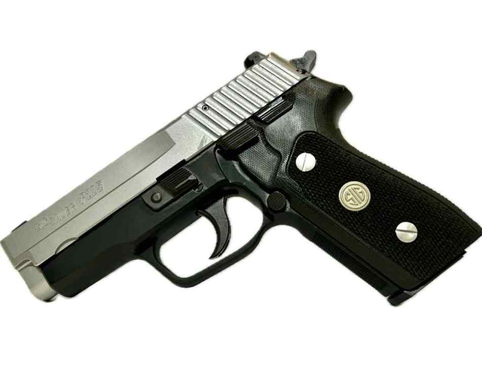 P225a.jpg