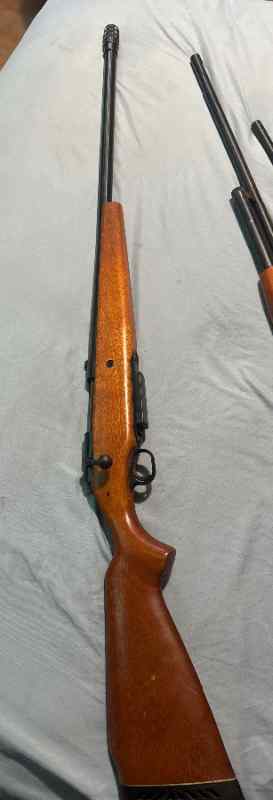 Bolt action 12g
