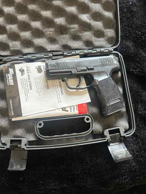 Sig P365