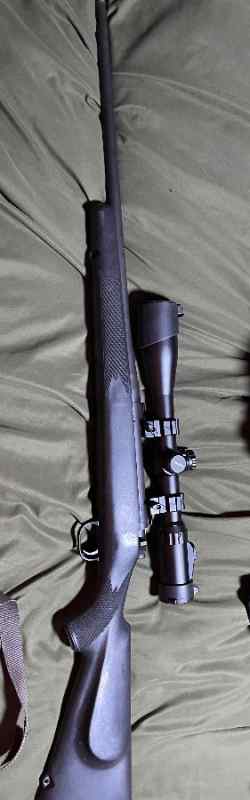 IMG_3368.jpeg
