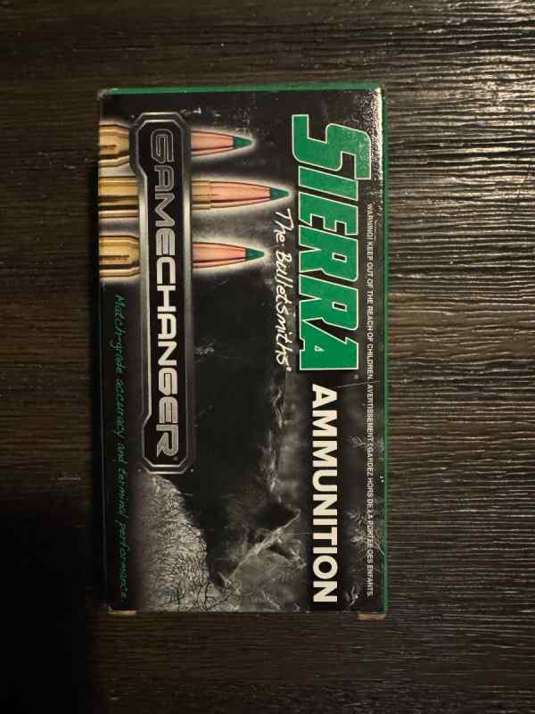 300 blackout ammo
