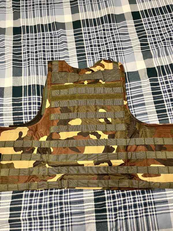 Plate carrier w/ plates