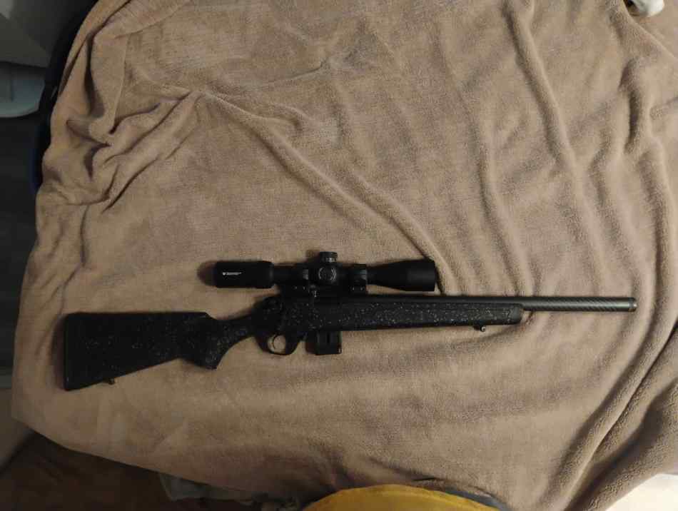 Bergara BMR