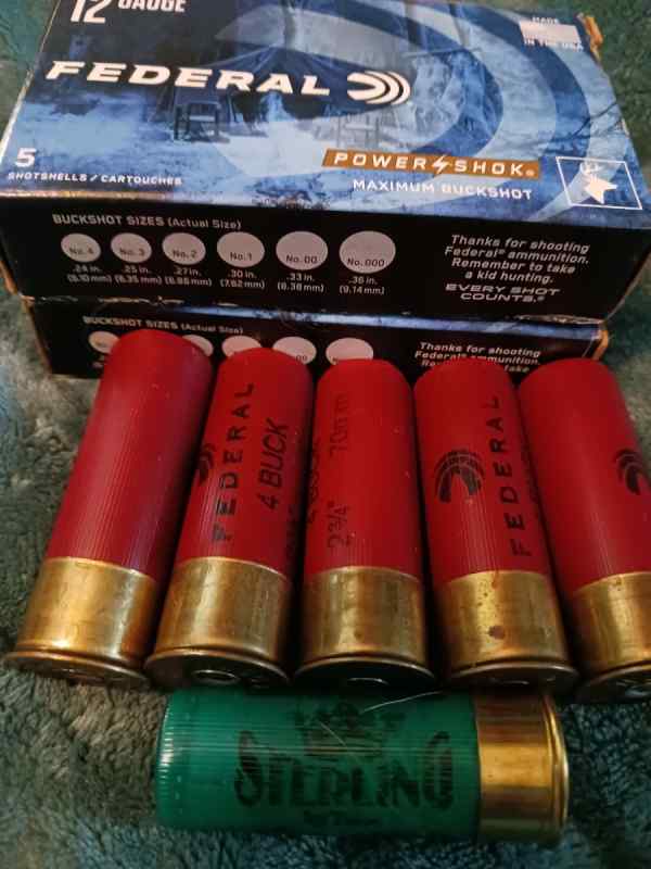 12 Guage Buckshot Ammo