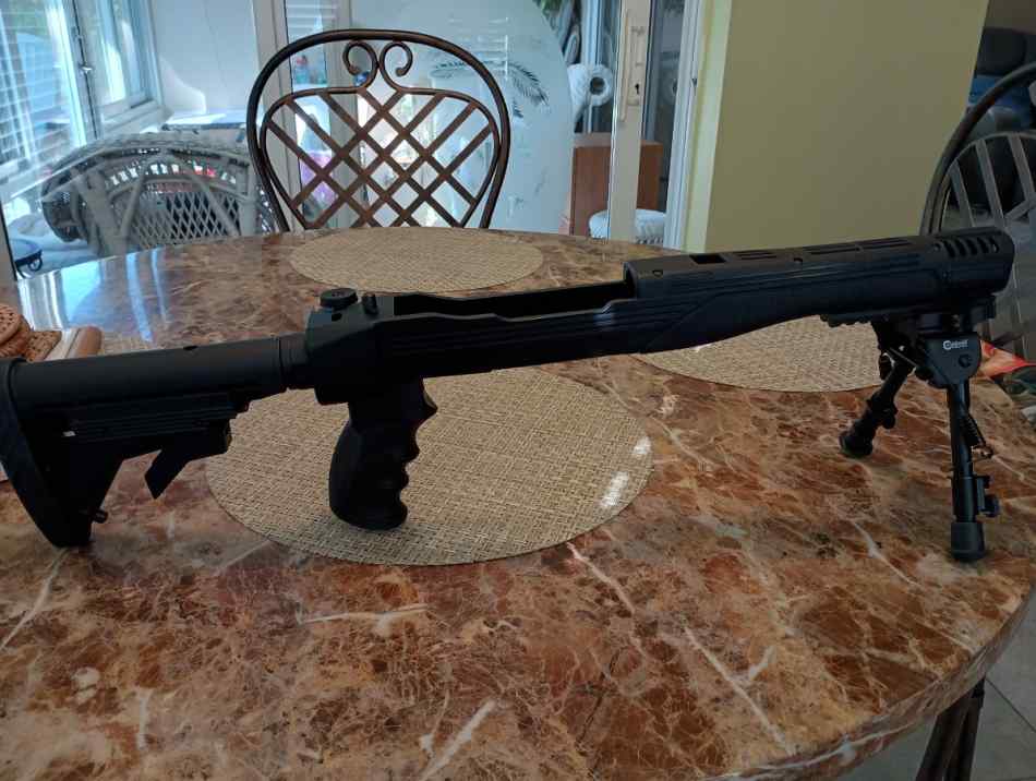 Ruger 10/22 Strikeforce folding adjustable stock