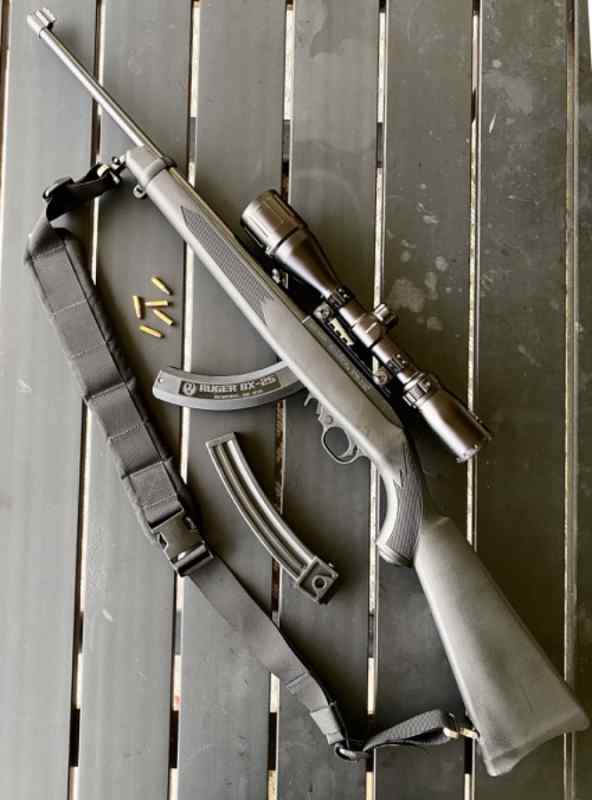 Ruger 10/22 with upgrades