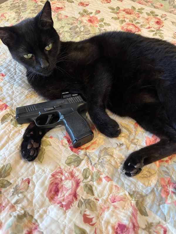 Sig 365 X 
