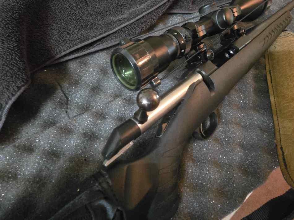 Ruger American .243