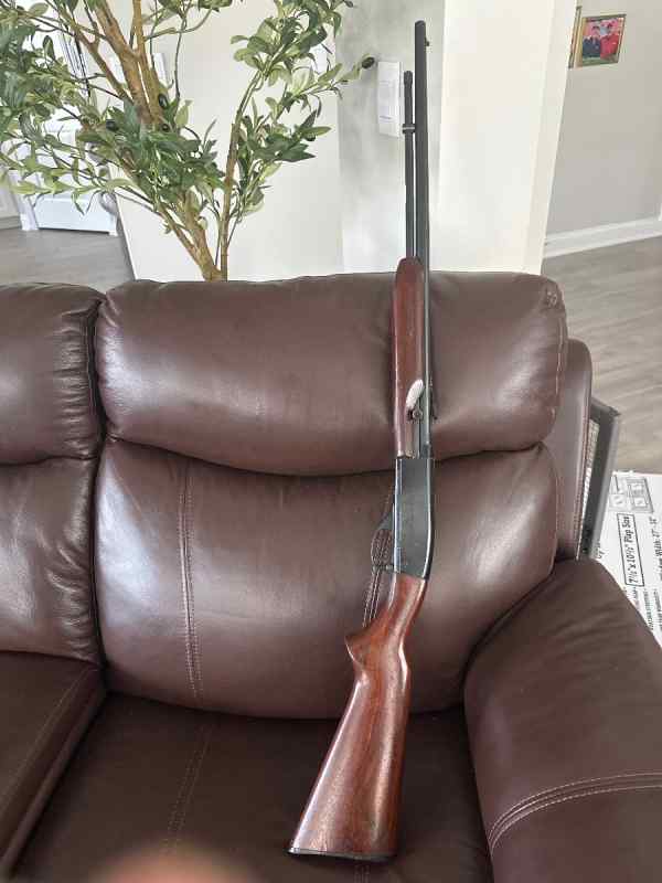 Remington Speedmaster Model 552 .22 LR