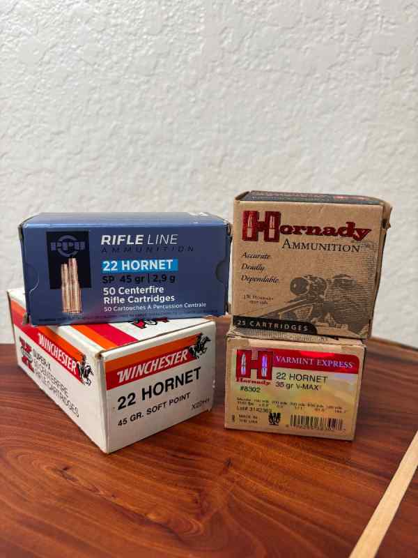 .22 Hornet