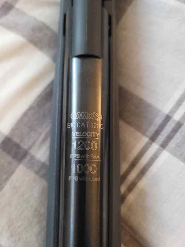 gamo big cat 1200 gun 1.jpg