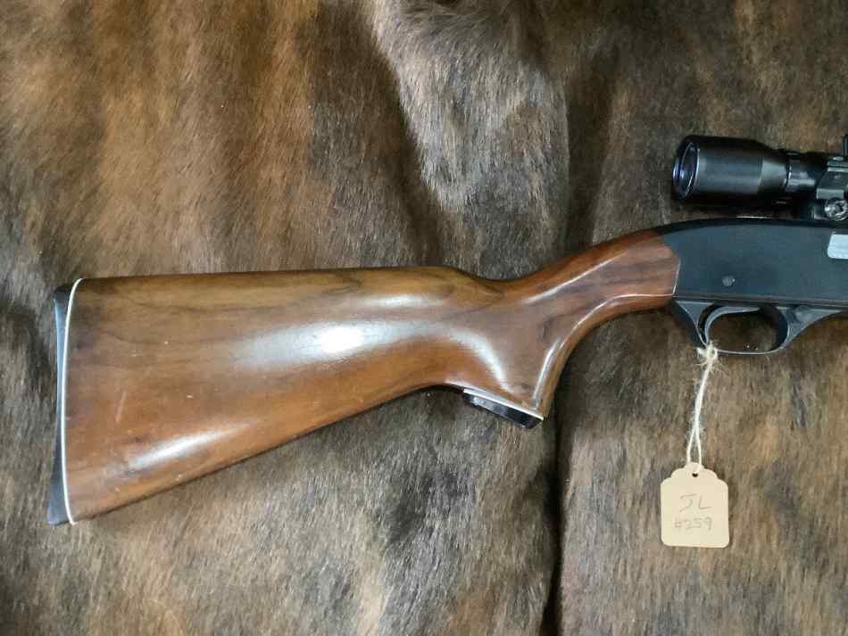 .22 Rifles (Winchester and Marlin)