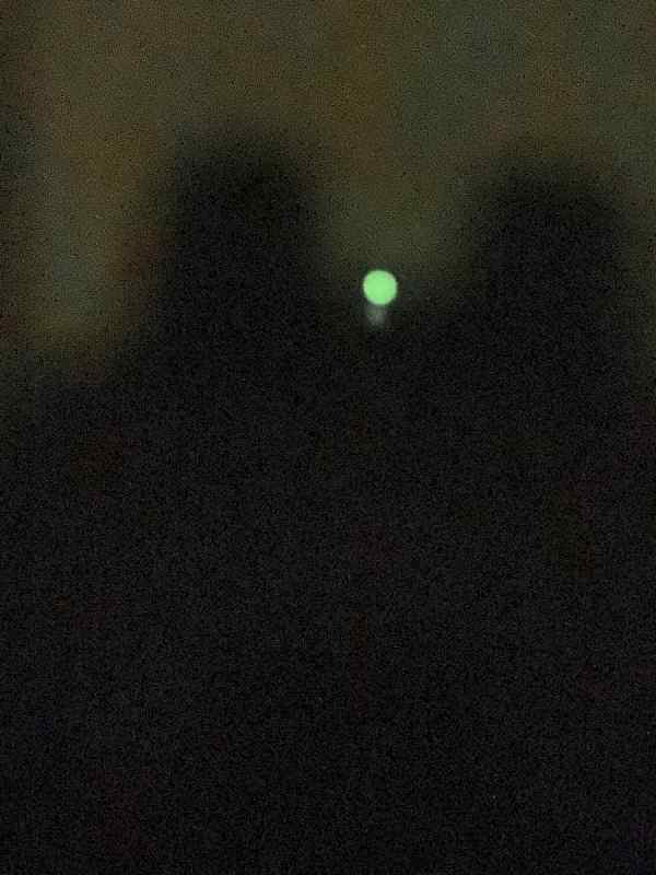 IMG_0244.jpeg