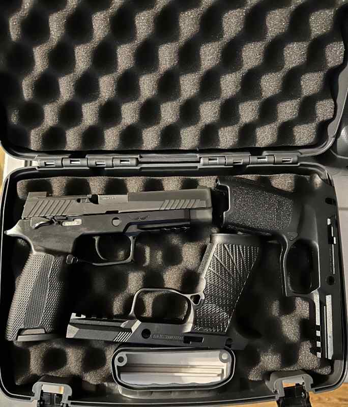 WTS Sig 320, Icarus grip module
