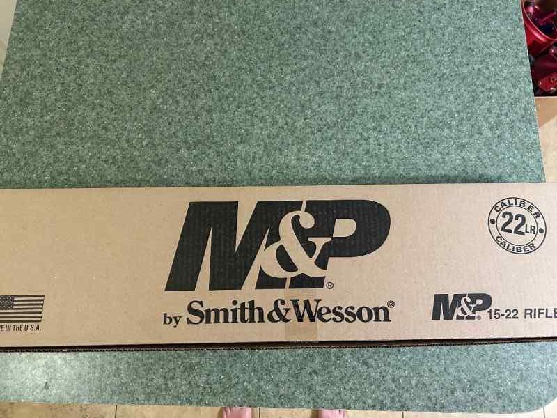Smith and Wesson 15-22
