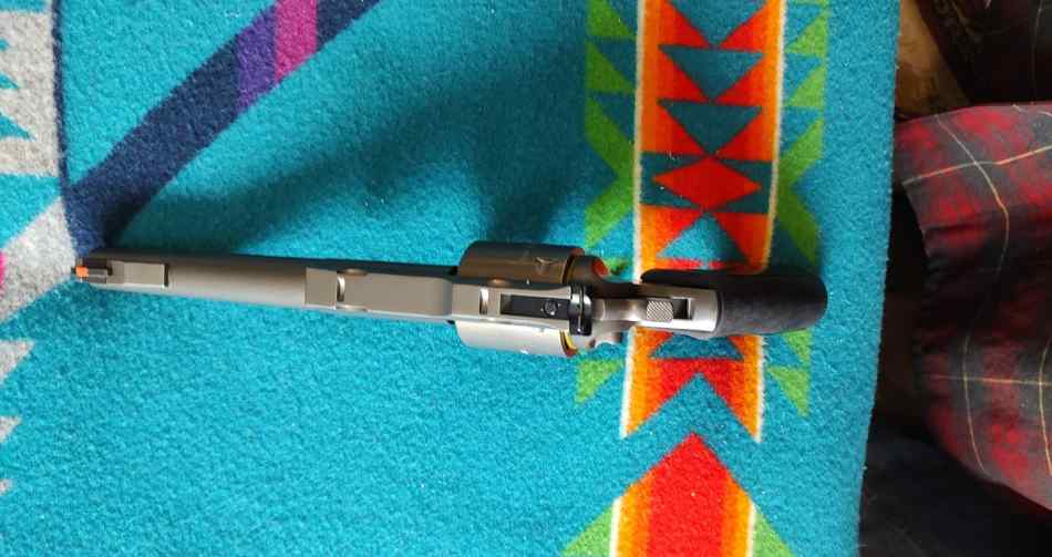480-Ruger_102508233.jpg