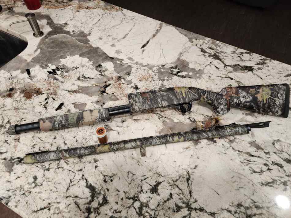 Browning BPS 10 gauge 