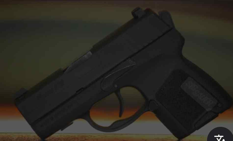 SIG P290RS