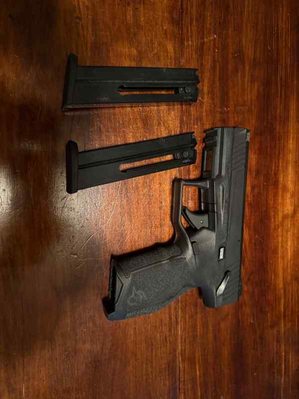 Taurus TX22 with two magazines