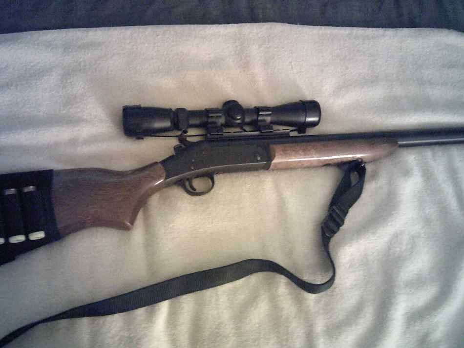 20 ga ultra slug gun