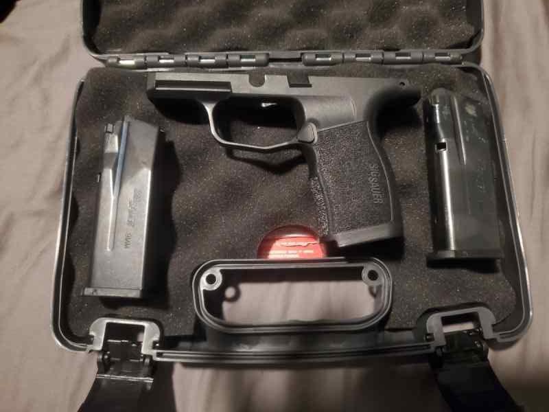 Sig P365 xl frame and 2 mags