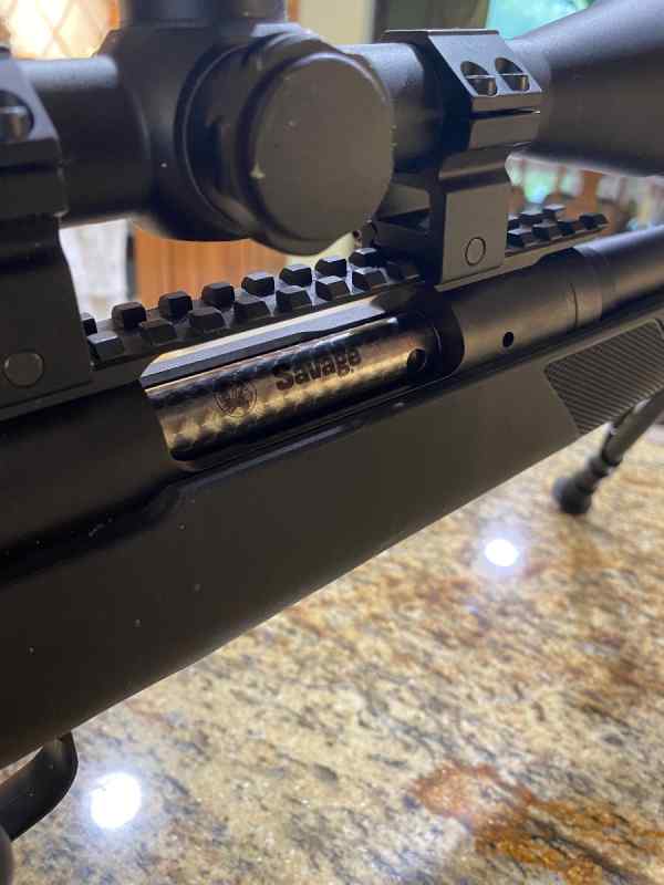 Savage Model 11 .308