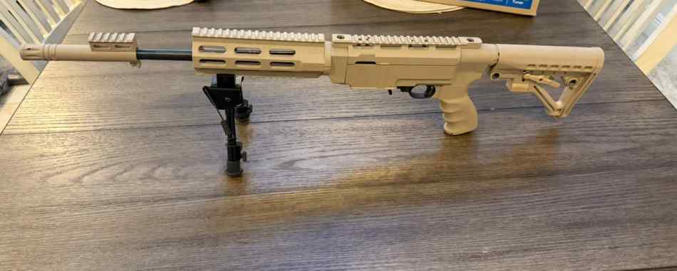 Ruger 10/22 with extras