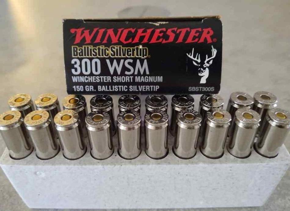 300 WSM Winchester ballistic silvertip
