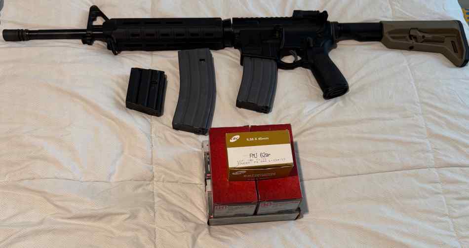 AR15 Spikes Tactical Lower New PSA Upper Mags+Ammo