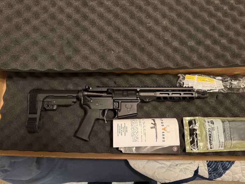 Stag Arms Stag15 Tactical 300blk 