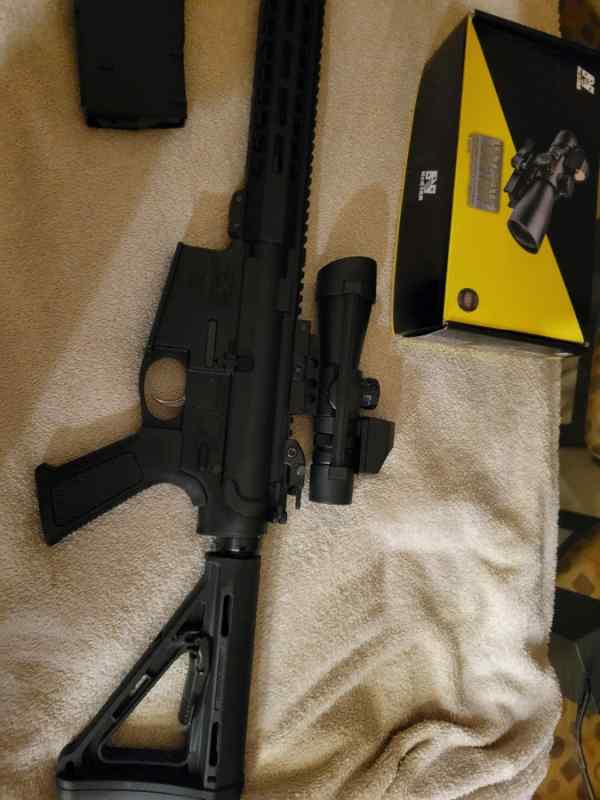 AR10 .308