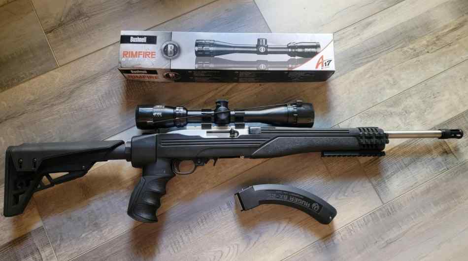 Ruger 10/22  Tactical SS, NBF + Extras