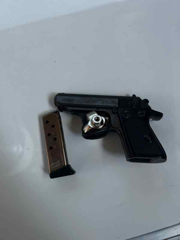 Walther2.jpg