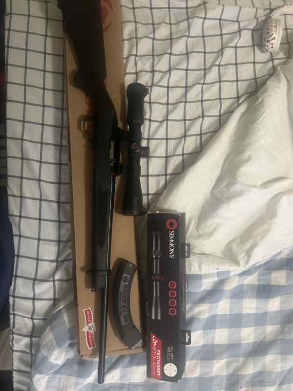 Ruger 10/22