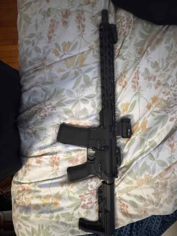 Ar15 with red dot 