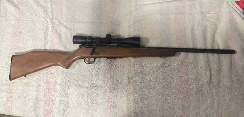Savage 93r17 17hmr 
