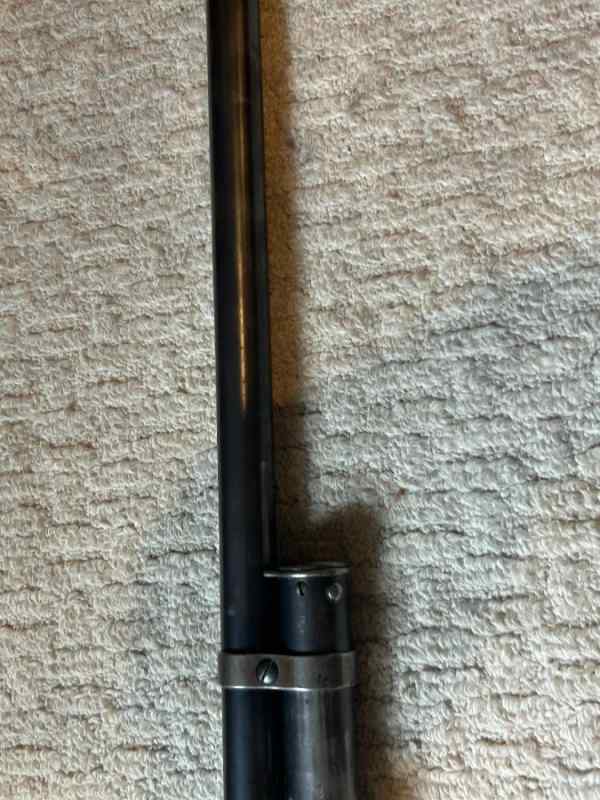 307.jpg