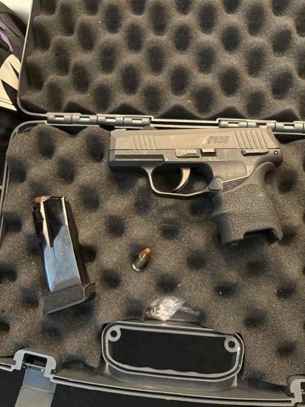 sig sauer p365