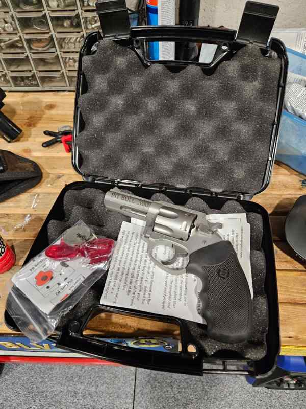 Charter Arms Pitbull 380 Revolver 