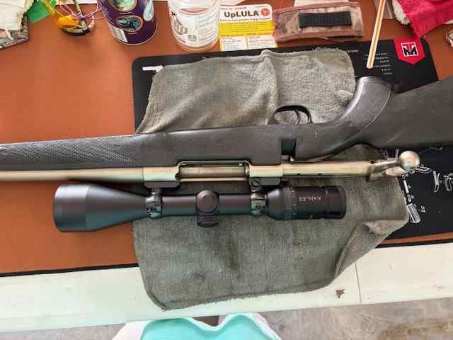 Weatherby Mark V Stainless .270